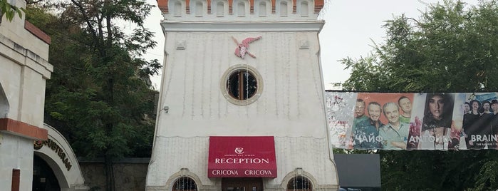 Wine cellars of Cricova is one of FOOD AND BEVERAGE MUSEUMS.