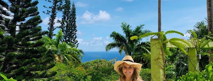 Golden Rock Inn is one of St Kitts & Nevis.