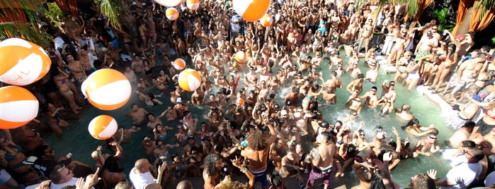 TAO Beach is one of VEGAS!.