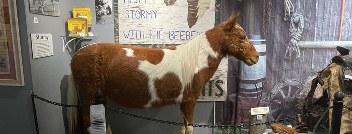 Museum Of Chincoteague Island is one of FOOD AND BEVERAGE MUSEUMS.