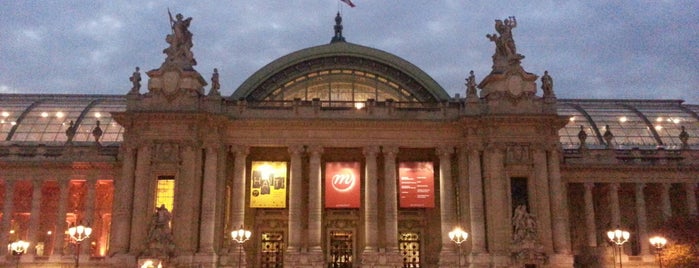 Grand Palais is one of NYC➡️SPAIN➡️FRANCE➡️ITALY Trip.