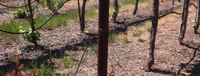 Murrieta's Well is one of Beyond the Peninsula.