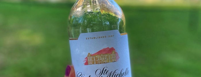 Chateau Ste. Michelle Winery is one of Lieux qui ont plu à Ray.