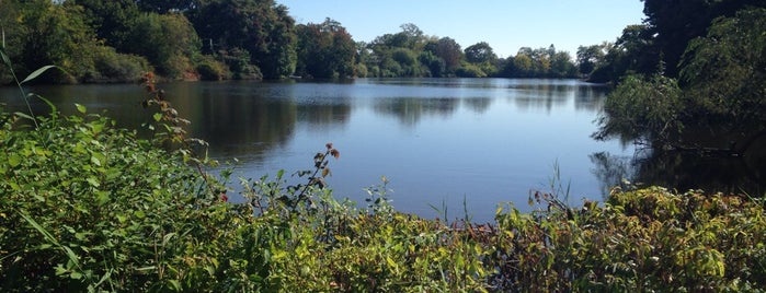 The Lake House is one of Francine’s Liked Places.