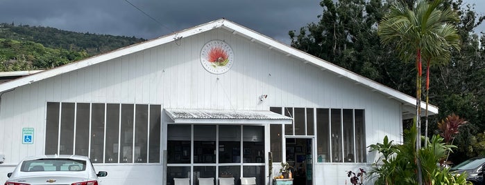 Big Island Bees is one of Big Island Adventure.