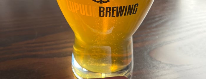 Lupulin Brewing is one of Breweries to visit.