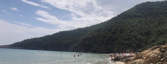 Paradise Beach is one of Dedeağaç-Thasos-Kavala.