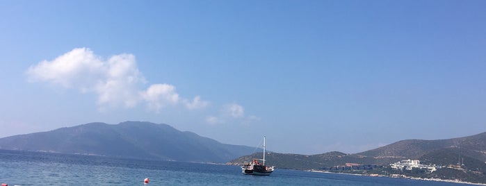 Club Med Bodrum is one of Ender'in Beğendiği Mekanlar.