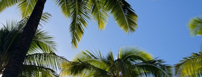 Kuhio Beach Park is one of Hawaii - To Do.