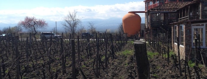 Twins Wine Cellar is one of FOOD AND BEVERAGE MUSEUMS.