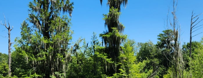 Phinizy Swamp Nature Park is one of Atlanta to Try.