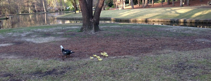 Peachtree Heights East Duck Pond and Parks is one of Parks.