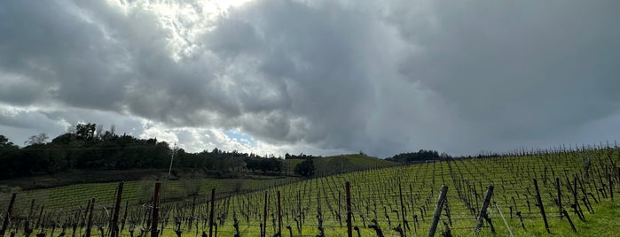 Joseph Swan Vineyards is one of Beyond the Peninsula.