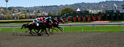 Golden Gate Fields is one of Insiders' Picks.