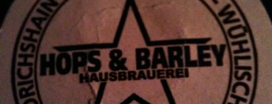 Hops & Barley is one of must visit places berlin.