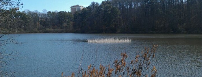 Lullwater Preserve is one of Parks.