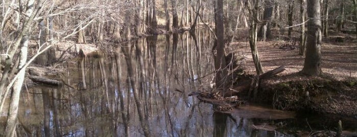 Congaree National Park is one of Visit the National Parks.