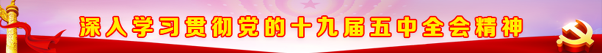 深入学习贯彻党的十九届五中全会精神