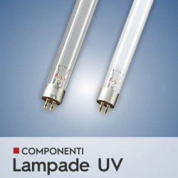 LAMPADE UV