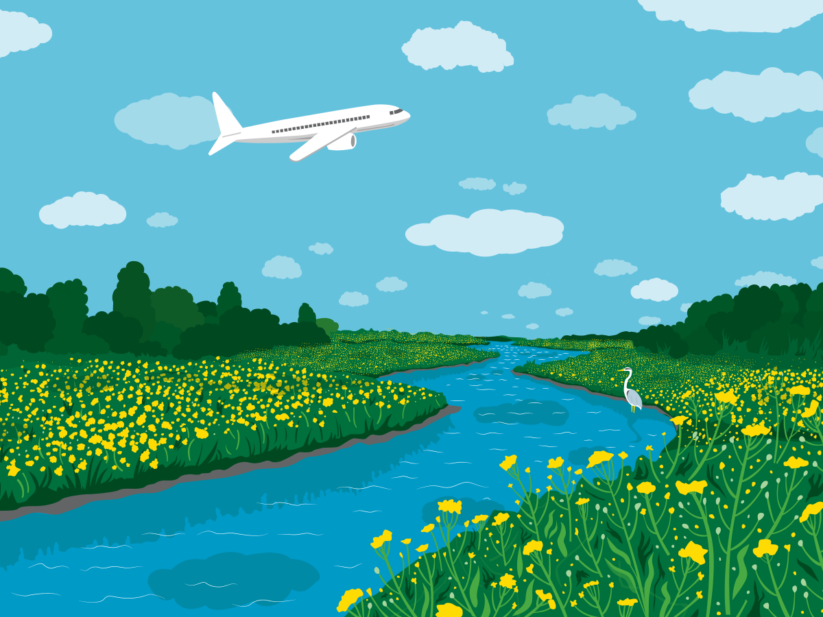 Airplane over river and yellow camelina