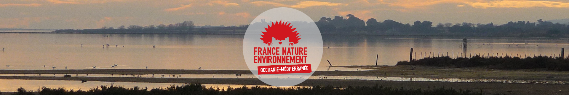 FNE Occitanie Méditerranée