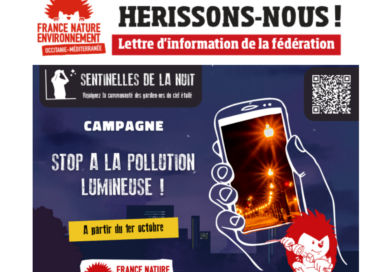 Hérissons-nous ! Notre lettre d’info n°36 – septembre 2024