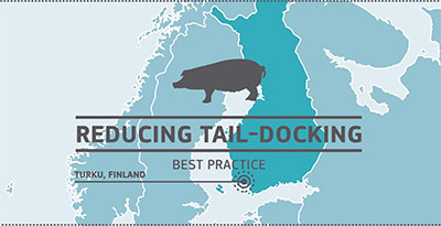 aw_practice_farm_pigs_tail-docking_vid-finland.jpg