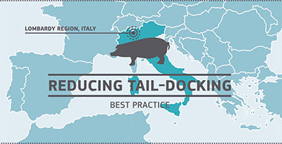 aw_practice_farm_pigs_tail-docking_vid-italy.jpg