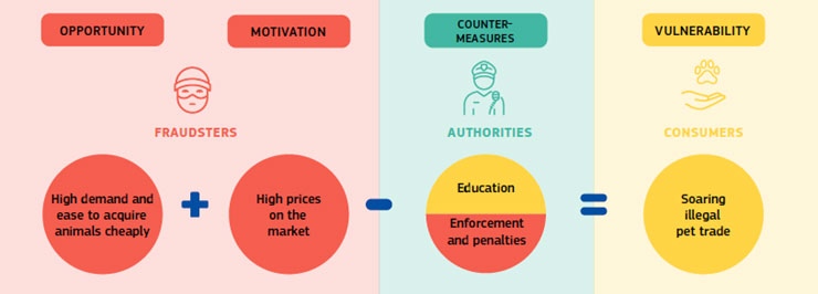 Vulnerability scheme for illegal trade of cats and dogs