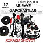 Murave zapchastlar