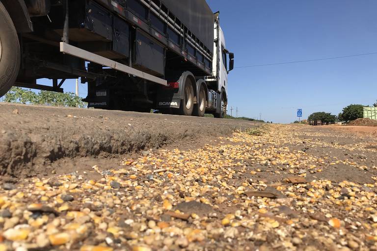 Governo quer unir concessão da Ferrogrão e de rodovia para destravar corredor do agro