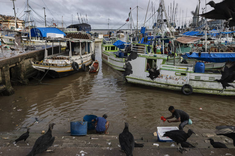 Ilha na Amazônia ajuda a desvendar campo magnético da Terra