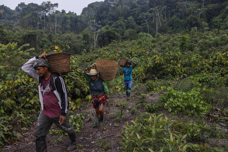 Prêmio de comunicação ambiental dará mais de R$ 550 mil