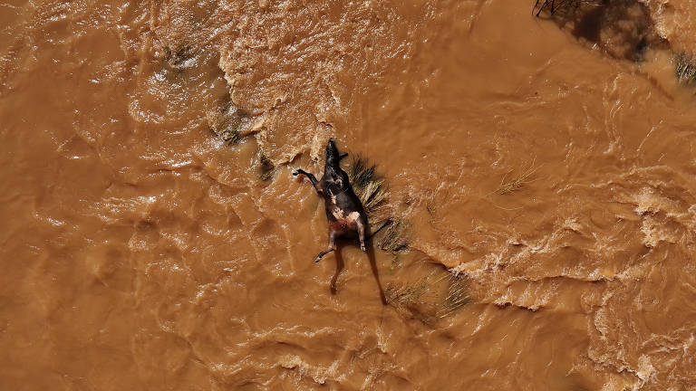 Veja fotos das inundações no Rio Grande do Sul