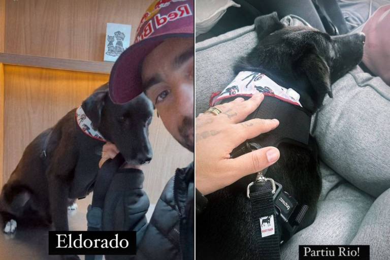 Pedro Scooby adota cachorro resgatado no Rio Grande do Sul