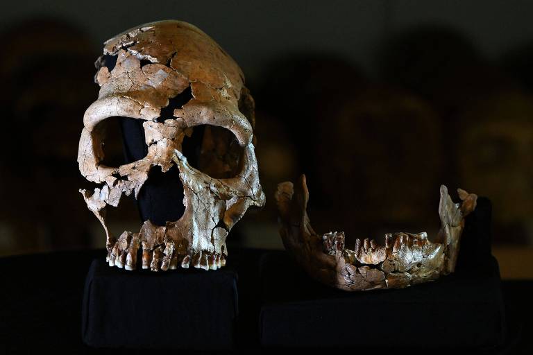 Relação de neandertais e primeiros Homo sapiens é marcada por longo namoro-ioiô