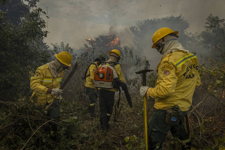 Ibama autoriza contratação de brigadas para combater incêndios florestais