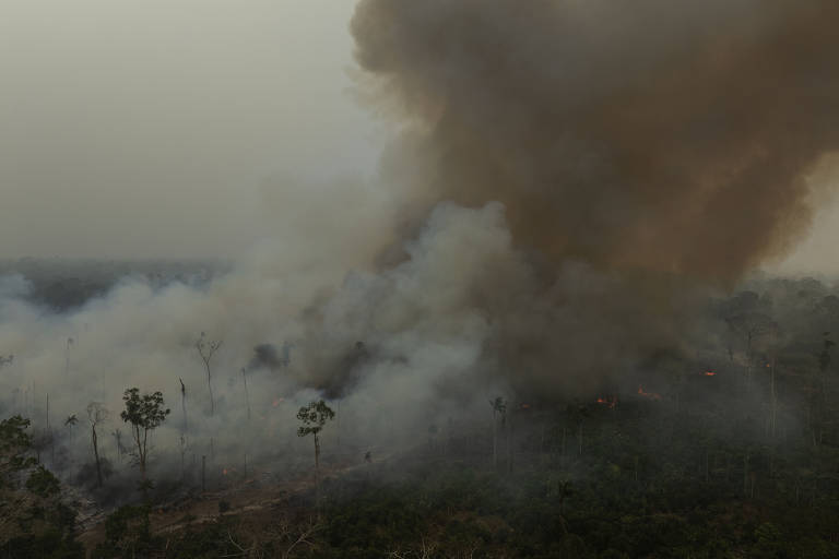 ONGs pedem ao governo meta climática ambiciosa enquanto agro questiona plano de zerar desmatamento