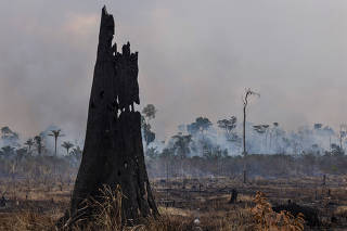 TRATADA, MUDANAS CLIMATICAS NA AMAZONIA