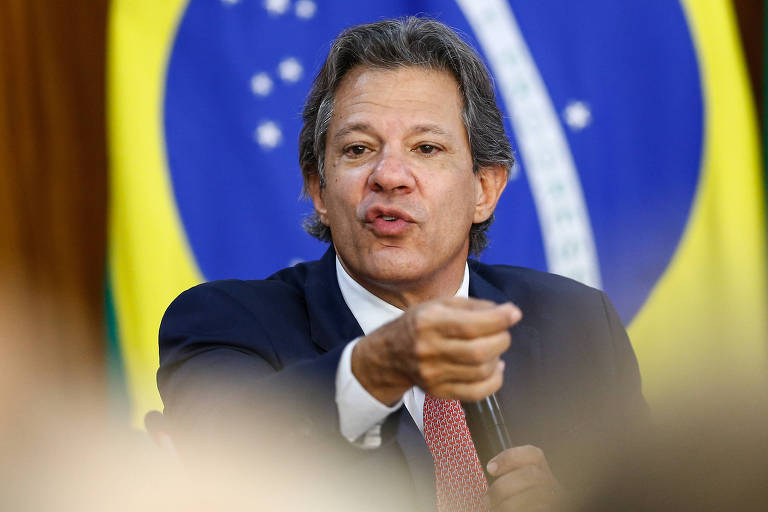 Haddad diz a investidores que queimadas reforçam necessidade de fundo de conservação de florestas