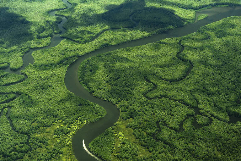 Costa Rica 'se mexicanizou' e foi de destino turístico a paraíso do tráfico de drogas