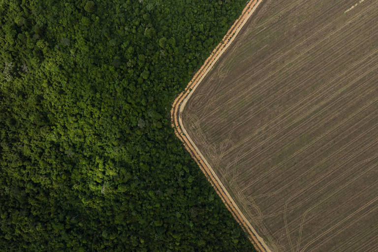 Programa do Ibama para converter multas de R$ 30 bi em recuperação ambiental trava em burocracias