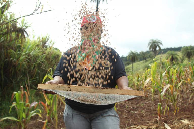 Empresa capta a partir de R$ 100 para investir em assentamentos da reforma agrária