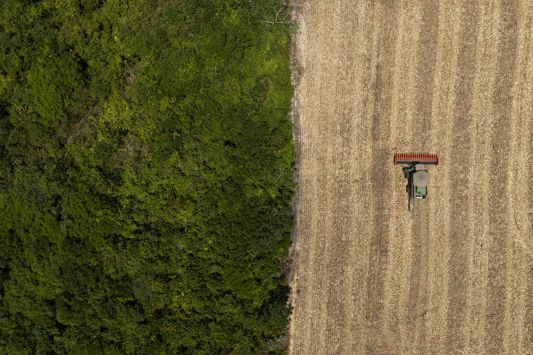 Senado aprova PL que cria mercado de carbono; Fazenda estima PIB 5,8% maior até 2040