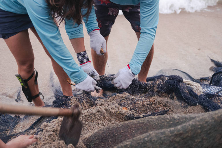 ONGs criadas a partir de tragédias no mar promovem retirada de redes de pesca