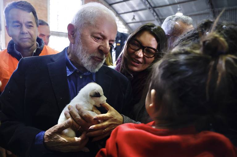 Lula sanciona lei que cria cadastro nacional de animais domésticos