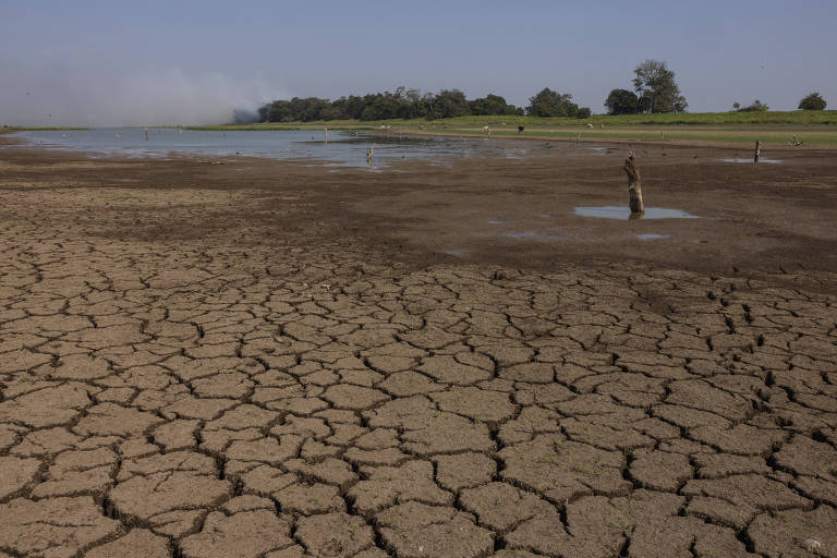 La Niña ainda pode ocorrer em 2024, mas sem força para reverter aquecimento, diz agência