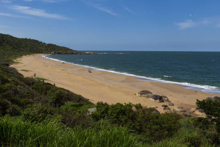 Área perto de praia deserta de Balneário Camboriú (SC) é vendida e pode virar parque de aves