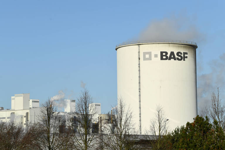 Louis Dreyfus comprará negócio de ingredientes de Basf