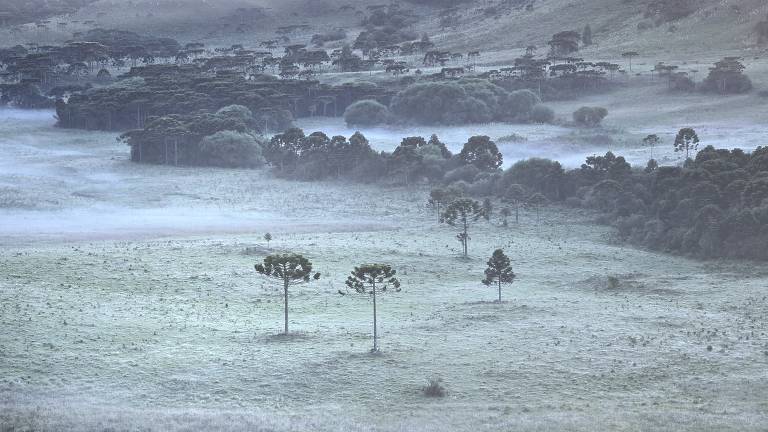 Apesar do verão, SC tem campos com geada e temperaturas baixas